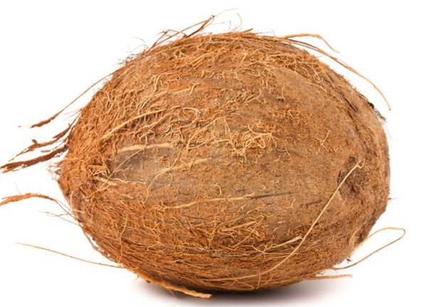 椰子三个孔在哪个位置,椰子三孔有两假一真