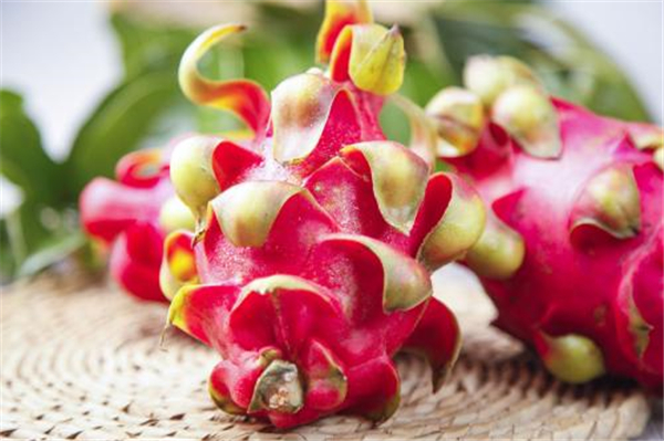 火龙果是凉性还是热性,火龙果是凉性水果
