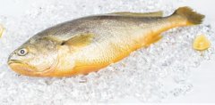 黄鱼多少钱一斤,不同品种的黄鱼价格都不等