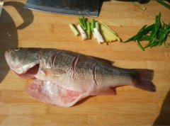 清蒸鲈鱼怎么做,最详细鲈鱼的做法教程