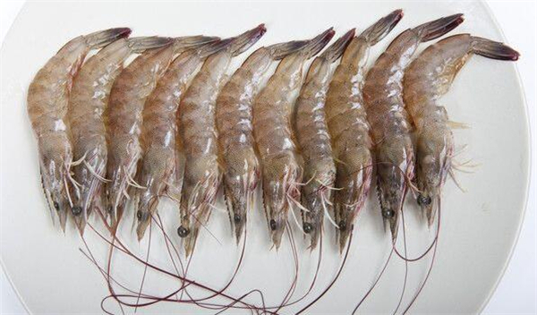 明虾和基围虾的区别,明虾与基围虾傻傻分不清