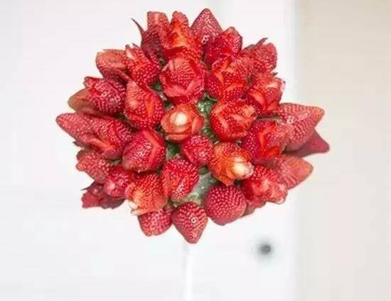 水果拼盘图片简单好看,浪漫草莓玫瑰花创意水果拼盘图片