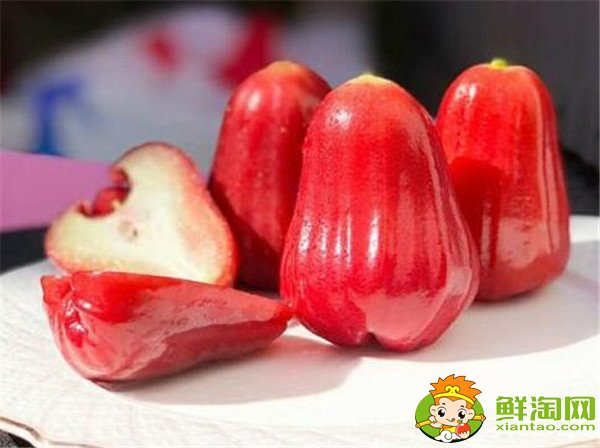 莲雾产地在哪里,莲雾产地有哪些地方