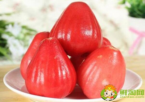 水果莲雾的营养价值高吗(莲雾的营养价值是啥),莲雾的营养价值及功效