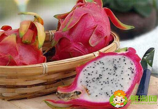 火龙果皮的功效与作用,火龙果皮的吃法和做法