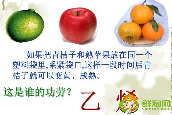 未成熟的柿子怎么催熟最快,柿子怎么催熟最简单的方法(不涩简单)