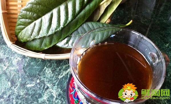 枇杷叶的功效与作用,枇杷叶怎么煮水止咳