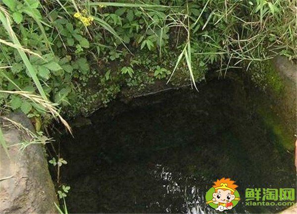 荔枝怎么保存时间长,荔枝怎么保存不会坏