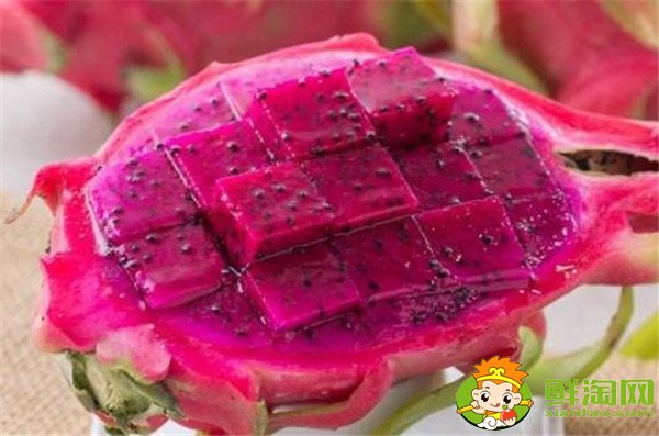 孕妇可以吃火龙果吗,孕妇能吃火龙果