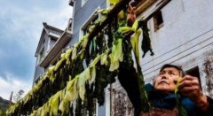 菜干是什么菜做的,菜干怎么做