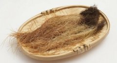 玉米须怎么吃,玉米须的功效与作用