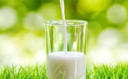 什么时候不能喝牛奶,喝牛奶的最佳时间