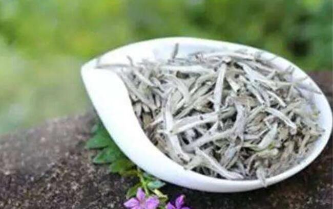 白茶是什么茶,白茶的功效
