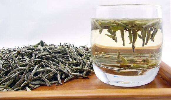 白茶是什么茶,白茶的冲泡方法
