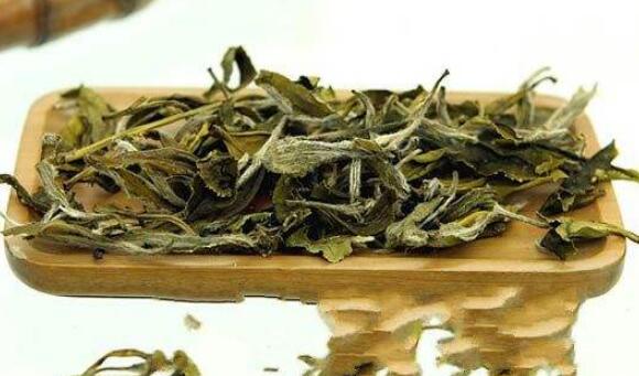 白茶是什么茶,白茶的冲泡方法