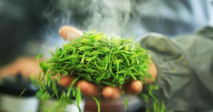 西湖龙井茶是绿茶吗,龙井茶的功效与作用