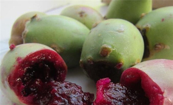 仙人掌果好吃吗,仙人掌果粉能瘦身吗