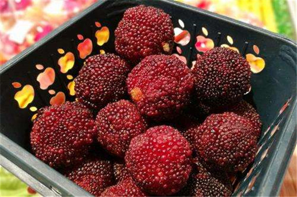 吃杨梅上火吗,杨梅会上火吗