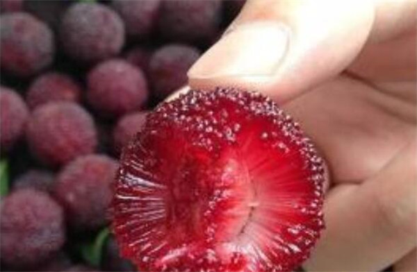 吃杨梅上火吗,杨梅会上火吗