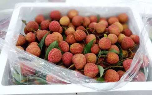荔枝冷冻能保存多久,荔枝最新保鲜方法