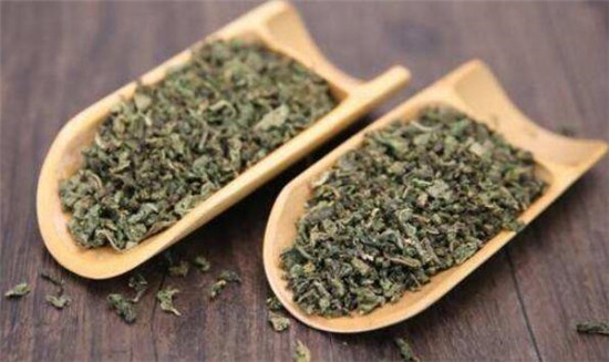 蒲公英茶可以减肥吗,蒲公英茶和什么一起喝减肥