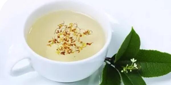 蒲公英茶泡鲜的还是干的,蒲公英茶怎么泡效果好