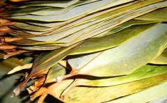 粽子叶煮多久能包粽子,粽子叶煮多久可以用