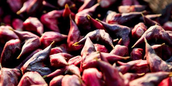 菱角煮多久才能变成黑色,菱角煮多久才能杀死寄生虫