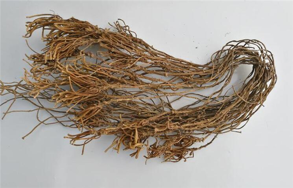 菱角的根茎可以吃吗,菱角根茎怎么做好吃法