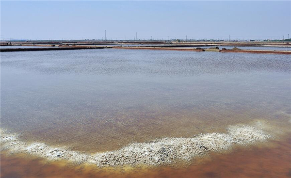 低钠盐是不是高钾,碘盐好还是低钠盐好