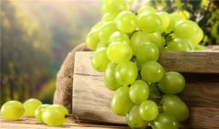 水晶葡萄可以酿酒吗,水晶葡萄酒的制作方法