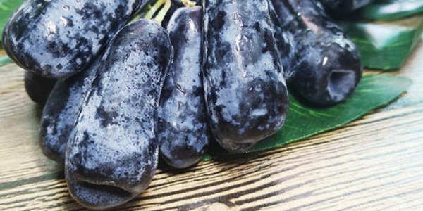 澳大利亚金手指黑提什么季节,澳洲金手指黑提一斤有多少