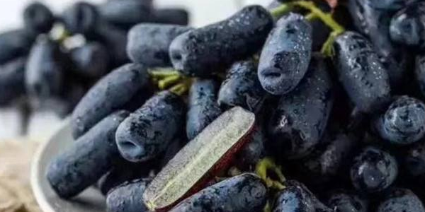 澳大利亚金手指黑提什么季节,澳洲金手指黑提一斤有多少