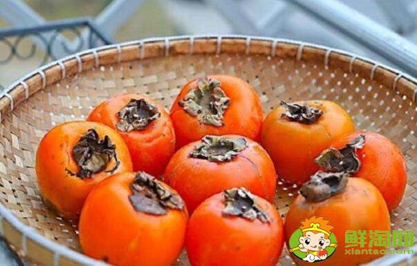 柿子为什么发涩,柿子刚摘是涩的怎么办