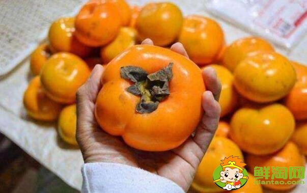 柿子为什么发涩,柿子刚摘是涩的怎么办