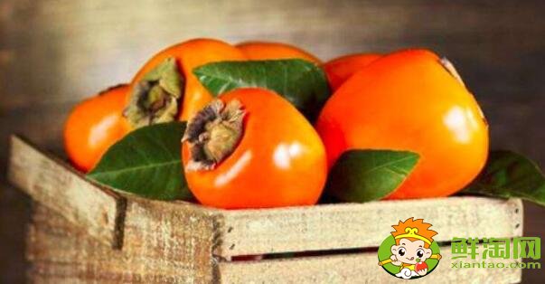 柿子为什么发涩,柿子刚摘是涩的怎么办