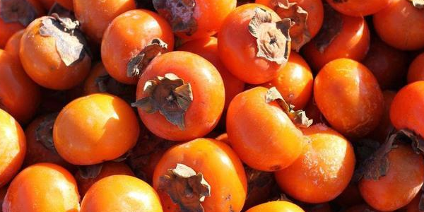 新鲜柿子怎么催熟,柿子怎么催熟最简单的方法