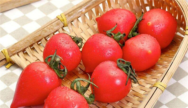 春桃是什么水果,春桃柿子是西红柿吗
