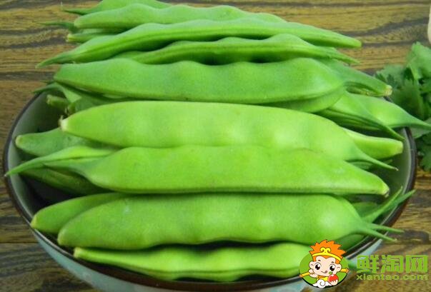 油豆角几月份收获,油豆角怎么保存时间长