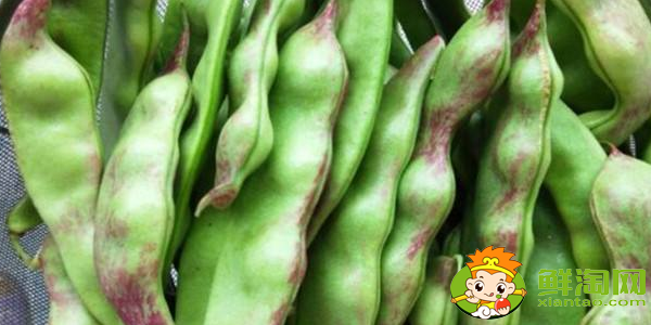 油豆角怎么挑选,油豆角怎么处理