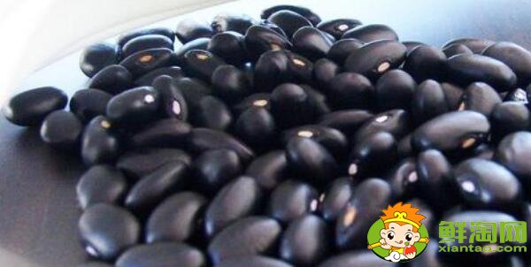 芸豆长什么样,芸豆品种图片大全