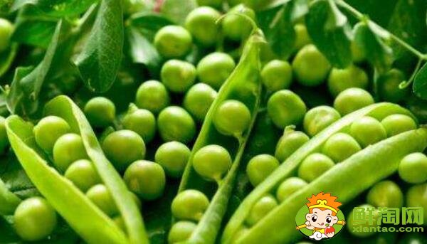 豌豆角直接炒可以吗,豌豆角是煮还是蒸