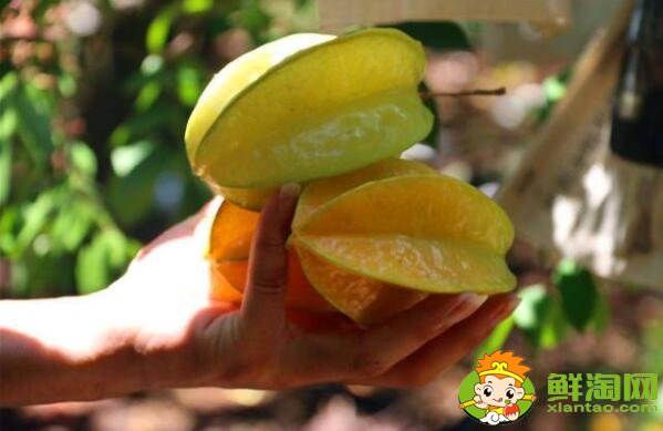 杨桃怎么吃要剥皮吗,杨桃怎么削皮图解