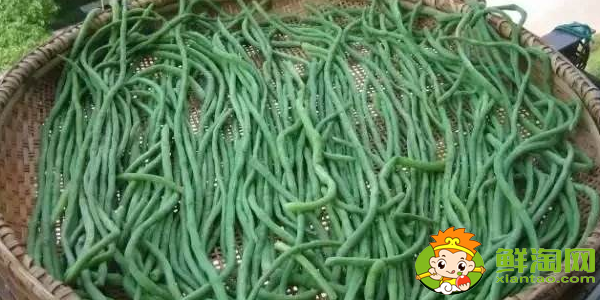 怎样晒干豆角不发黄,干豆角怎么晒不变色