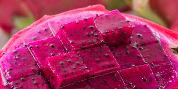 红色的火龙果和白色的哪个去火,火龙果去火效果最快的方法