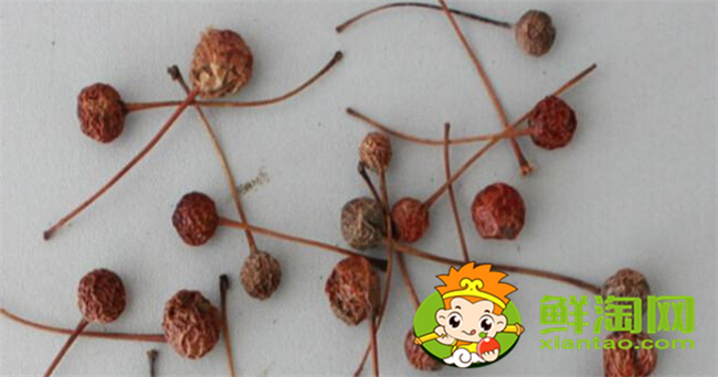 贴梗海棠的果实是什么果,贴梗海棠果实核是什么样