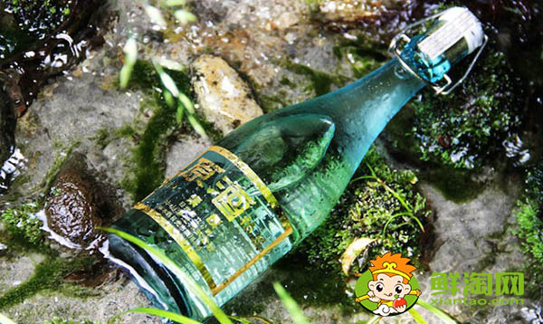 日本清酒好喝吗,日本顶级清酒排名