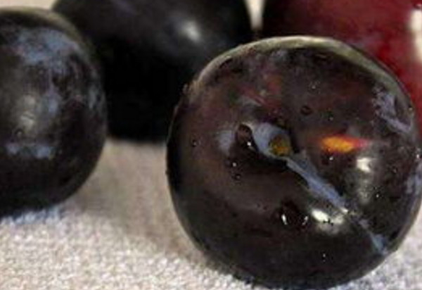 黑布林为什么那么酸,酸的黑布林有毒吗