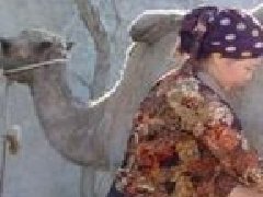 配方驼乳粉正宗吗,复合驼乳粉有什么用