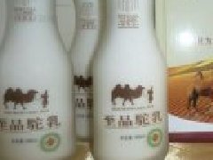 骆驼奶早睌喝还是空腹喝,骆驼奶的功效和作用